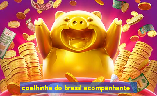 coelhinha do brasil acompanhante